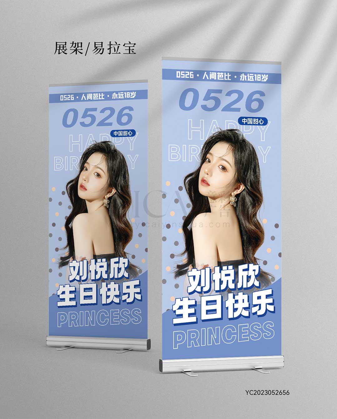 生日展架-简约蓝色冷色风格